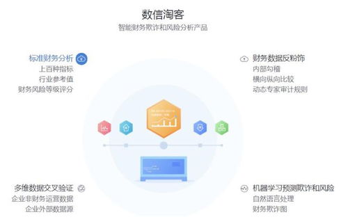 數(shù)行科技 智能財務(wù)反欺詐和風(fēng)險分析服務(wù)提供商 監(jiān)管科技案例